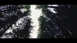 What The Road To The New Normal Looks Like Instructional Video