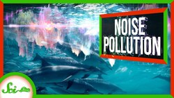 Noise Pollution Is a Bigger Deal Than You'd Think Instructional Video