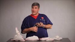 How to Take Care of a King Snake Instructional Video