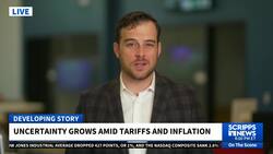 First full month of Trump administration maintained steady job growth, report shows News Clip