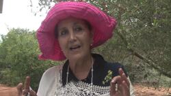 Organic farming lessons help environment News Clip