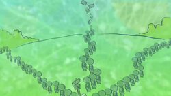 How to Survive an Outdoor Music Festival Instructional Video