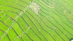 Aerial view amazing landscape rice terraces in a beautiful day Stock Footage