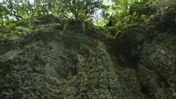Amazing view of rocks and untouched nature in Okatse Canyon, Kutaisi, Georgia Stock Footage