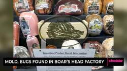 Mold, Bugs Found In Boar's Head Factory Instructional Video