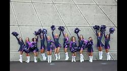 Fans Arrive At ANZ Stadium In Preparation For The 2018 NRL Grand Final Stock Footage