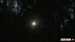 TED: Being Human | Naima Penniman Instructional Video