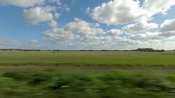 Denmark XI synched series left side driving studio process plate background Stock Footage