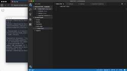 The Modern JavaScript Bootcamp (2019) - Setting up a Web Server Instructional Video