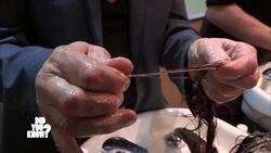 Transforming Hair: Health and Styling Instructional Video