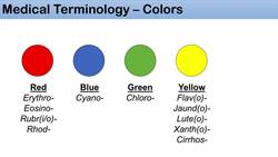 Medical Terminology - The Basics, Lesson 1.1 - Colors Instructional Video