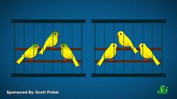 Seeing Sick Birds Boosts Canaries’ Immune Responses Instructional Video