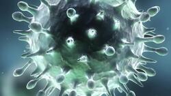 Living Cells and Viruses Instructional Video