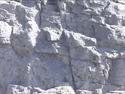 Forces Shaping the Earth: Faulting Instructional Video