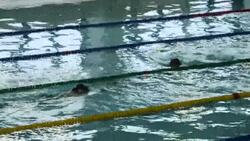 People Swimming at their local Leisure Centre News Clip