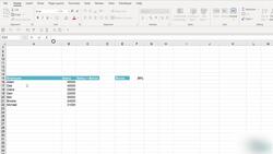 Microsoft Excel 2021365 - Beginner to Advanced - The LET Function Instructional Video
