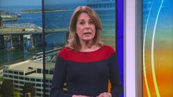 70 cats found in New Fairfield home prompt rescue plea News Clip