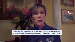 Thousands in the Hudson Valley join the fight against pancreatic cancer News Clip