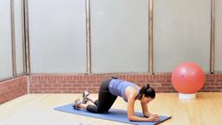 How to Do a Plank & Plank Variations for Female Leg Workout Instructional Video