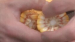 The Health Benefits of Maize Instructional Video