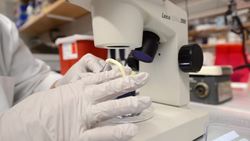 Helping the body regrow nerves Instructional Video