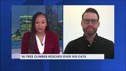 Steve to the rescue: Tree trimmer combines love of climbing, special skill set to retrieve cats from trees News Clip