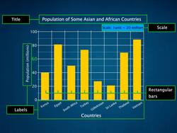 Bar Graphs Instructional Video