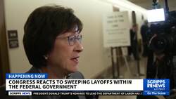 Republicans in Congress weigh in on Trump's wide-ranging federal job cuts News Clip