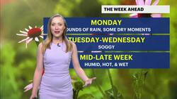 Warm, pleasant conditions in the Bronx as clear skies grow cloudy Instructional Video