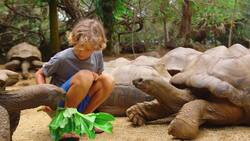 An Introduction to Genetics and Heredity - Gregor Mendel and DNA Instructional Video