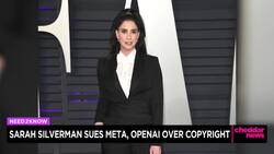 Comedian Sarah Silverman Joins Copyright Lawsuit Against OpenAI and Meta News Clip