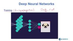 Deep Learning CNN Convolutional Neural Networks with Python - Training DNN Animation Instructional Video