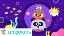 At the Aquarium (Aquatic Animals) Instructional Video