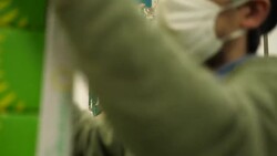 CLEAN : Italy: Amalfi lemon production adapts with success to virus as demand for fruit rises News Clip