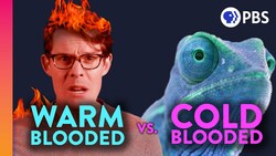 Why Are We Warm-Blooded? Instructional Video