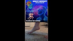 The Talocrural Joint | Anatomy & Movements Instructional Video