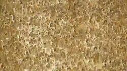 waterfall over rocks (slow motion) Stock Footage