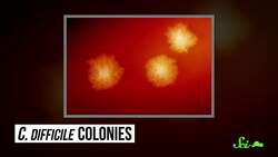 4 Ways CRISPR Is More Than Just Gene Editing Instructional Video