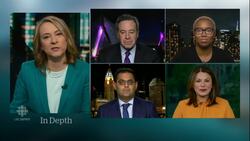 Why the U.S. midterms matter in Canada | Political Panel News Clip