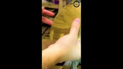 Can You Believe This Dragon Bowl Was Made from End Grain Black Walnut? ASMR Instructional Video