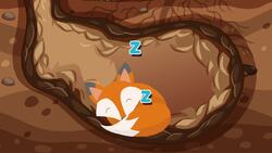 I WONDER - What Is Hibernation? Instructional Video