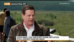 Fed's Goolsbee on Inflation, Wages, Possible Auto Strike News Clip