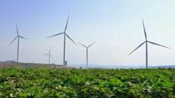 5 Inventions Inspired By Animals Instructional Video