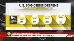 Trump faces backlash as egg prices defy promises News Clip