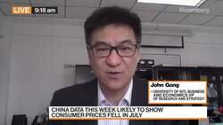 University of International Business and Economics' Gong on China's Economy News Clip