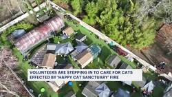 Rescuers ramp up efforts to help cats at Medford sanctuary News Clip