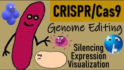 CRISPR Cas9 System Instructional Video