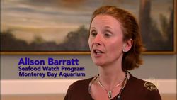 Ocean's Apex Predators: Rethinking Our Top Seafood Choices Instructional Video