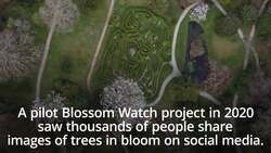 Britons encouraged to enjoy seasonal blossom every year News Clip