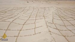 Climate change dries Mali’s Lake Faguibine, displaces population News Clip